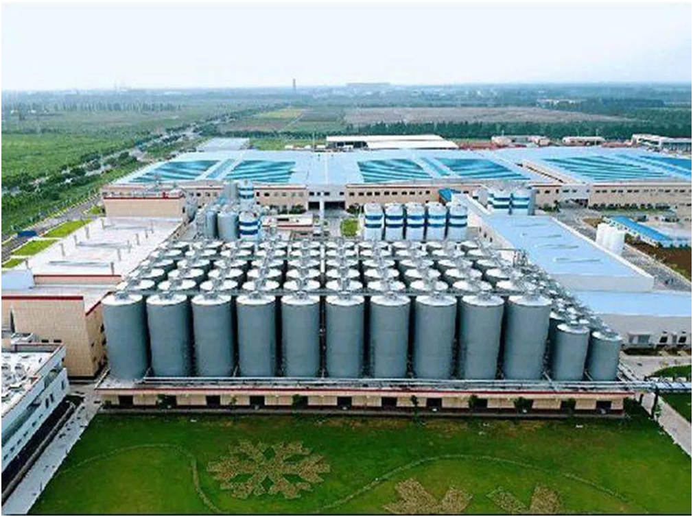 1704263014907671Su5h.png 5.png